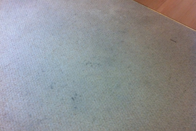 Carpet before cleaning