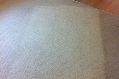 Carpet during the Clean Living treatment