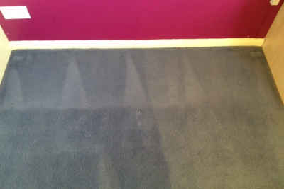 The same carpet  after a good clean - much better!